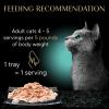 imageSheba Perfect Portions Bistro Adult Wet Cat Food Chicken in Alfredo Sauce Entree 26 oz TwinPack Trays 24 Count 48 ServingsSalmon